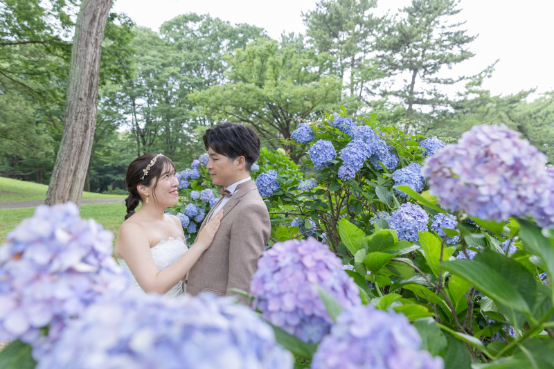 6月は紫陽花ともお写真が撮れるかも...!