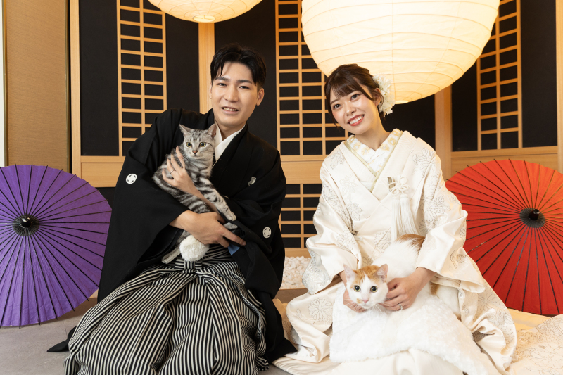 猫ちゃんと一緒に！