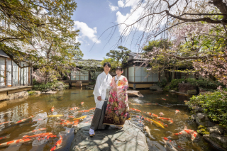 つきじ治作で前撮り