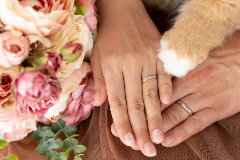 Photo Maison écrin 新宿店_ペットと一緒に撮影できる