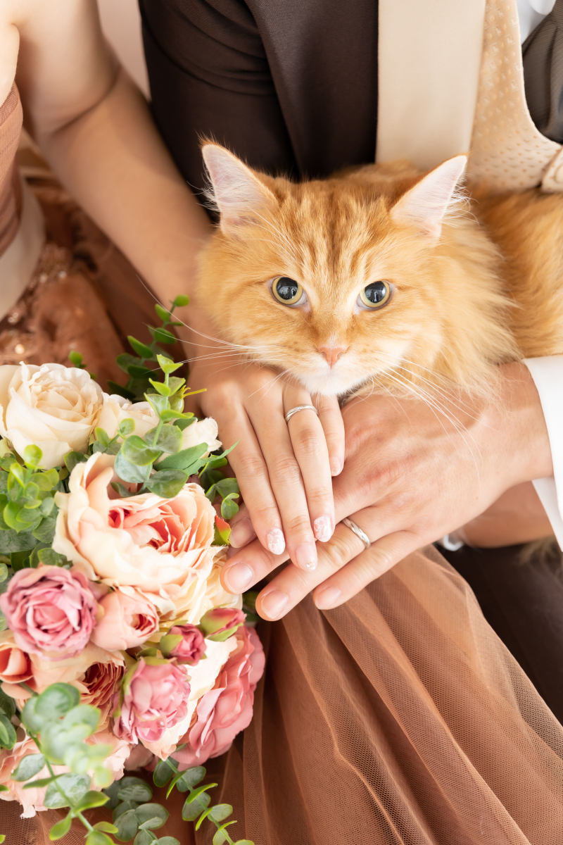 Photo Maison écrin 新宿店_ペットと一緒に撮影できる