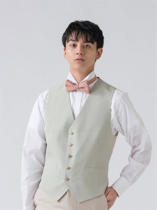 WTB2V＜LGR＞(ﾍﾞｽﾄ)/AL 