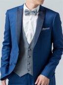 WILL蝶ﾀｲ/ｸﾞﾚｰ