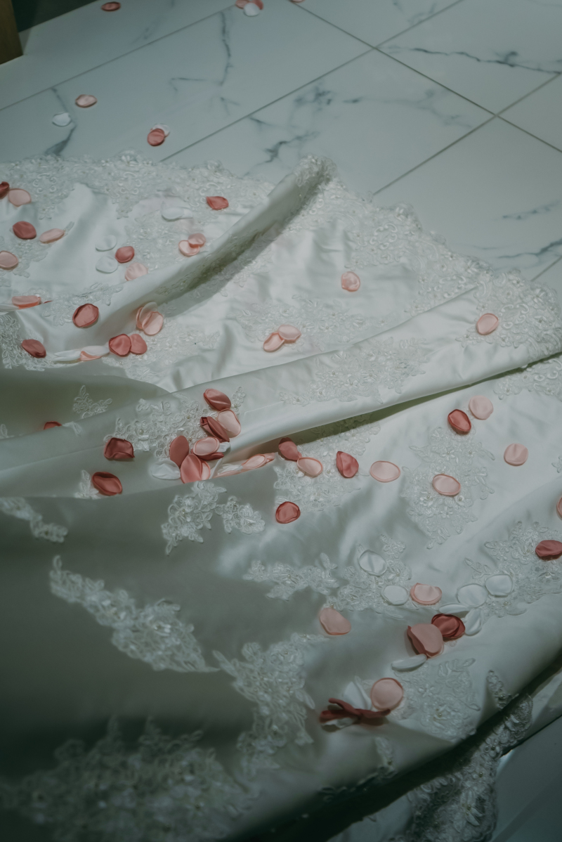 後ろ姿に祝福を乗せて