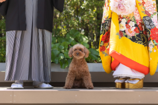 和洋２点　ペットと一緒に前撮り（色打掛＆カラードレス）プチロケーション付