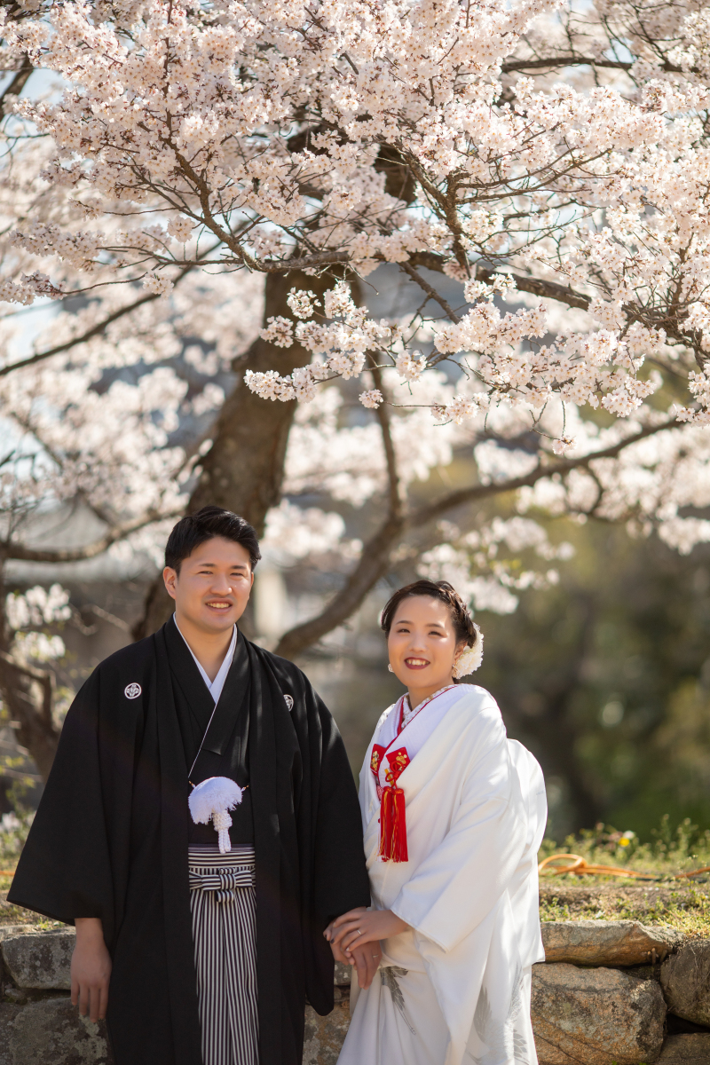 桜ロケーション
