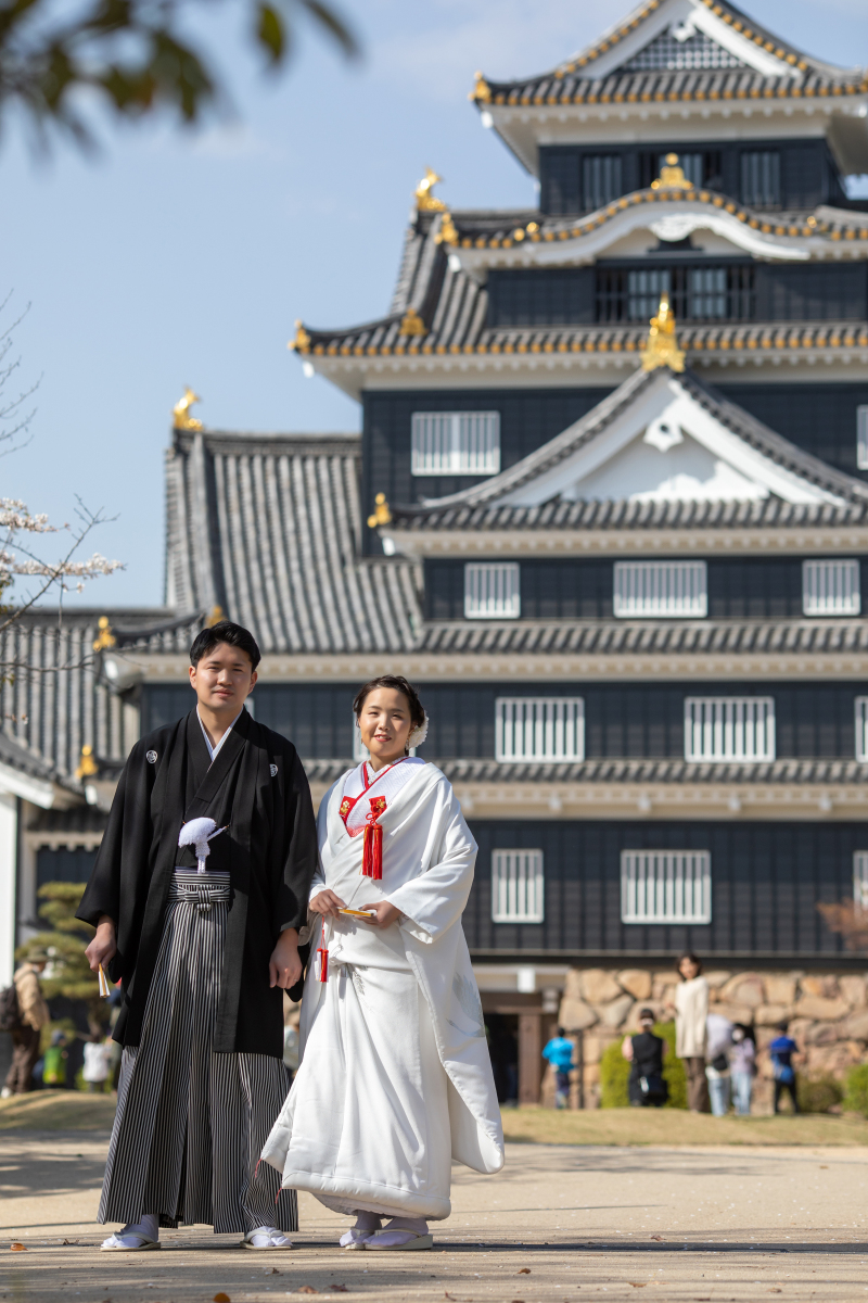 日本の100名城、リニューアル岡山城