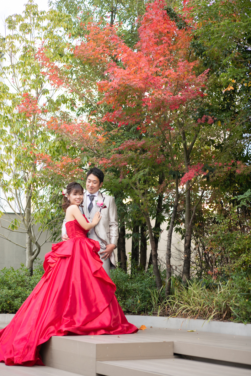 屋上庭園、紅葉フォト