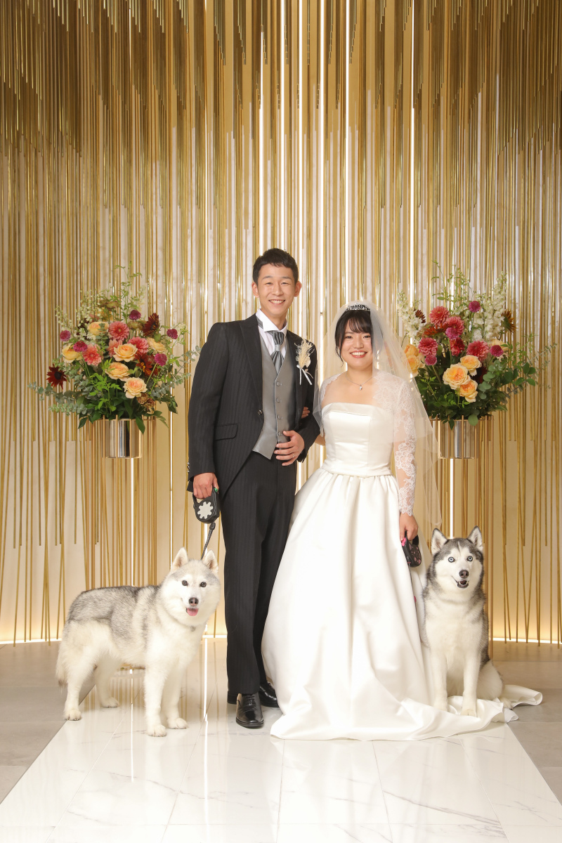 フォーマルショット（ペット）