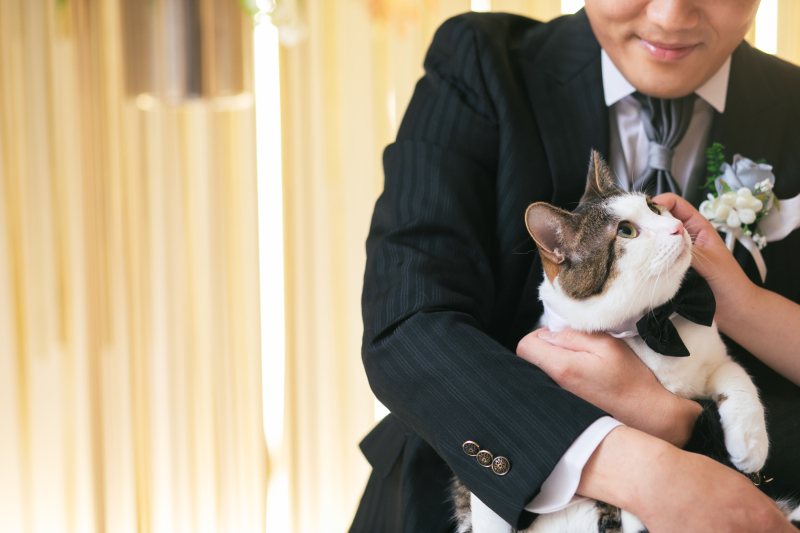 ねこちゃんの表情も