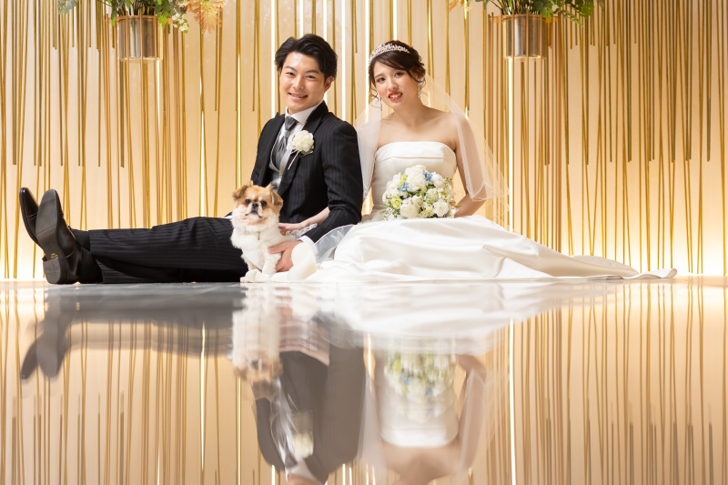 ドレスにお着替え