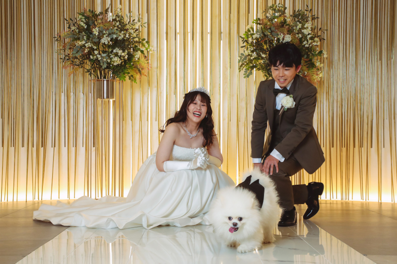 わんちゃんと一緒に２