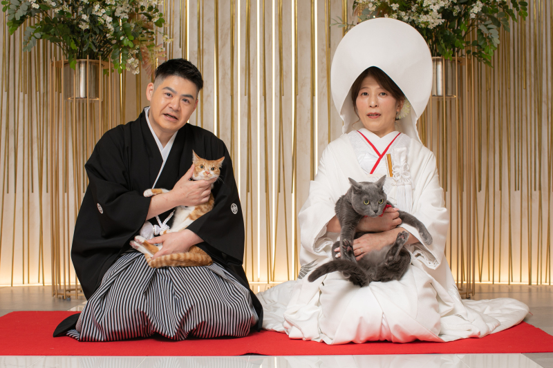 ねこちゃんと和装撮影