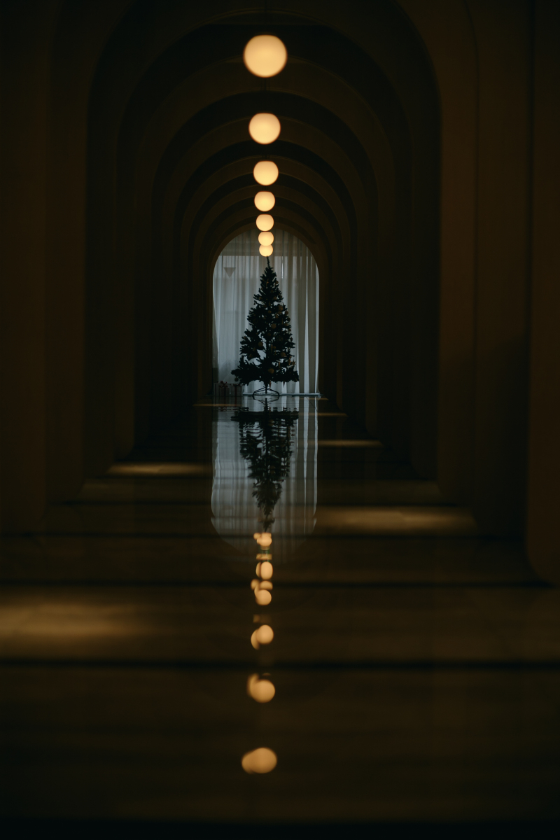 クリスマスに近いとある日でございます