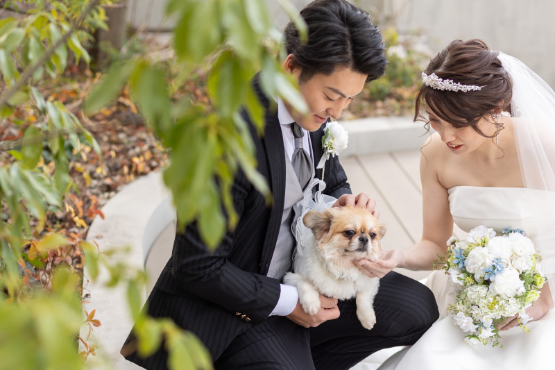 屋上に移動して