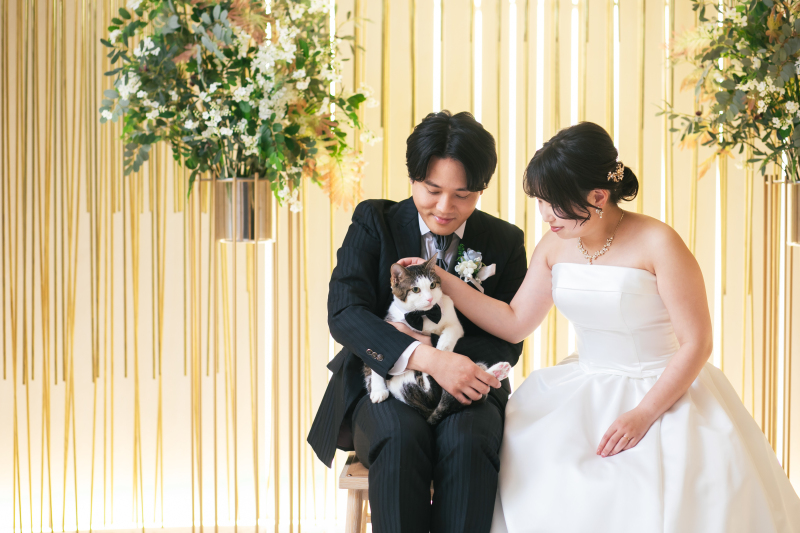 ねこちゃんと一緒に