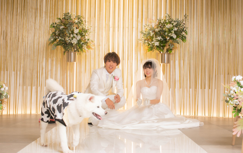洋装１点クリスマス＆ペットフォトウエディング