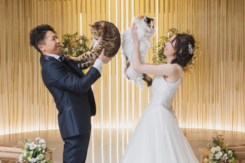 １時間の撮影を自由に使ってください