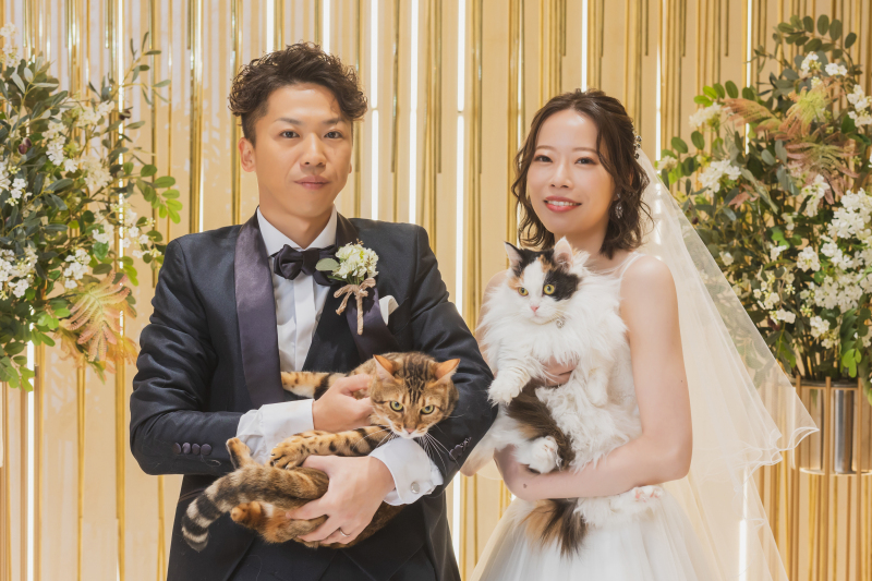 ワンちゃん、猫ちゃん、うさちゃん