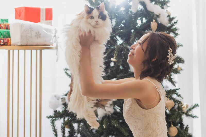 プチロケーションでの撮影もご一緒に可能