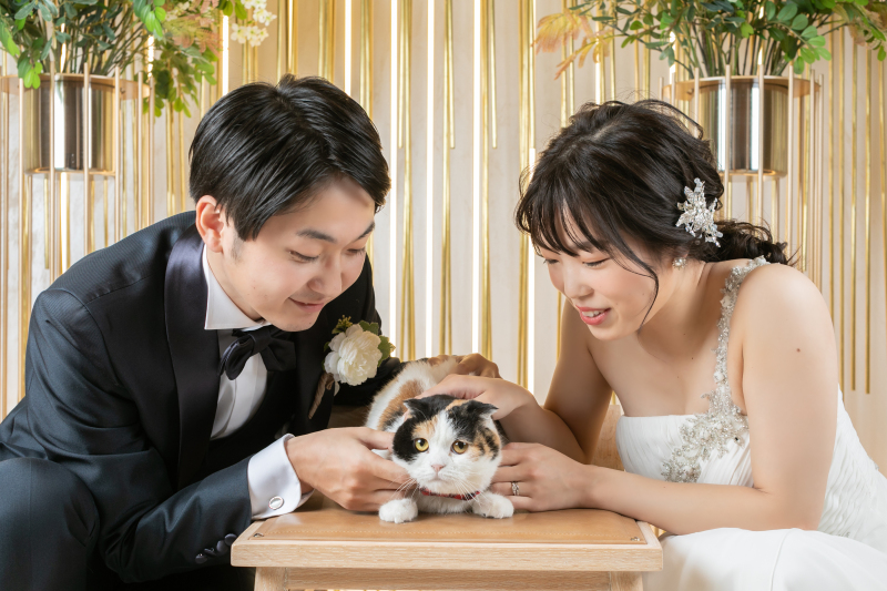 Point1 多彩な撮影シーン