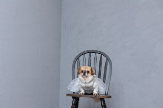 小さな結婚式 岡山店_プチロケーション撮影