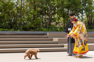 ペットとの写真もおまかせください