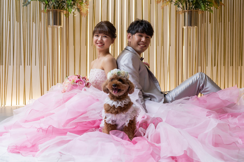 ★基本料金50%OFF★|¥209,000⇒¥174,500|【チャペル】洋装1着|50カット|パーティー