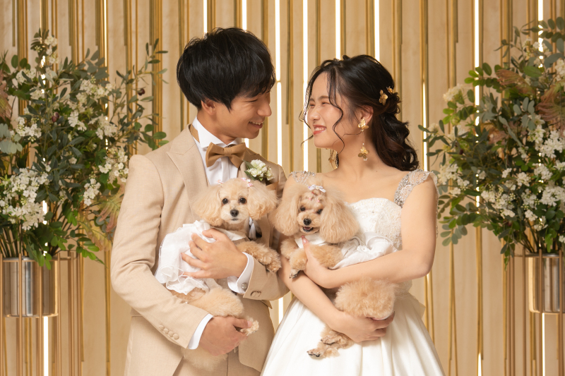 ★基本料金50%OFF★|¥69,000⇒¥34,500|【チャペル】洋装1着|50カット|ペット