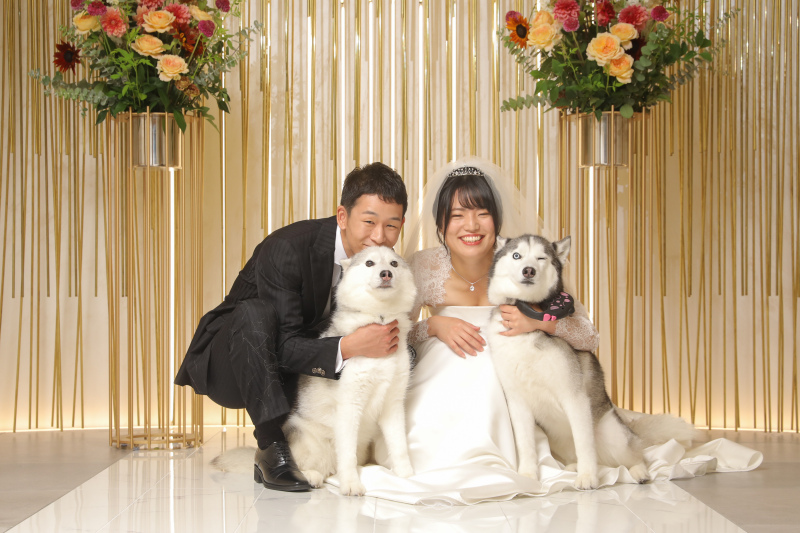 ★基本料金50%OFF★|¥249,000⇒¥194,500|【チャペル】洋装2着|100カット|パーティー