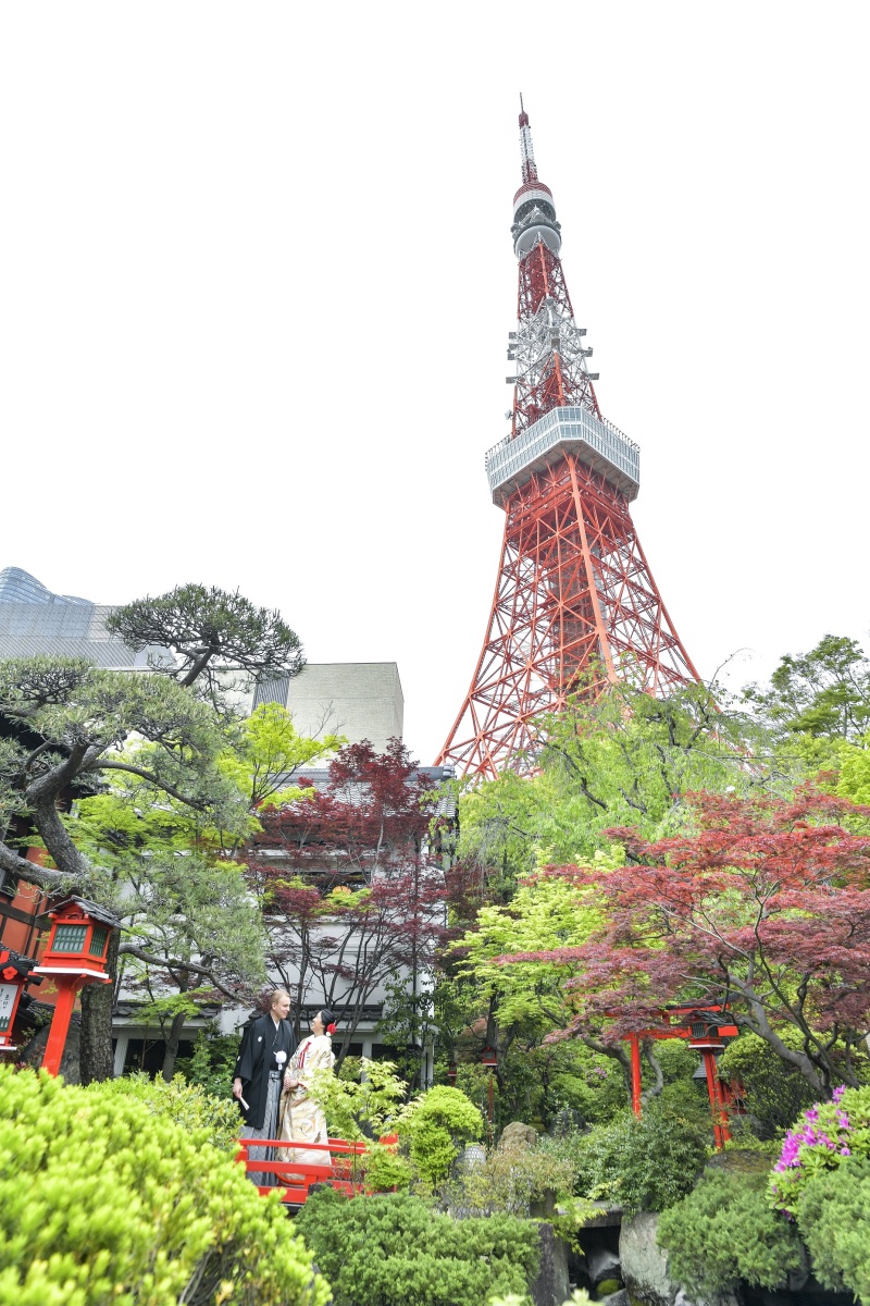 松やモミジ、そしてシンボル