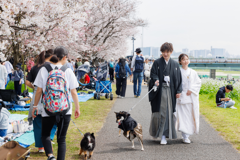 多摩川の桜並木で撮影スタート!