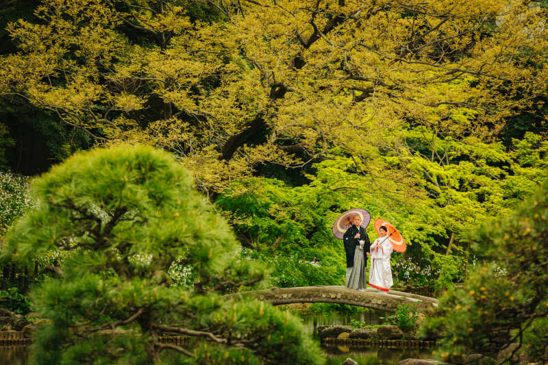 和装　肥後細川庭園　ロケーションフォト
