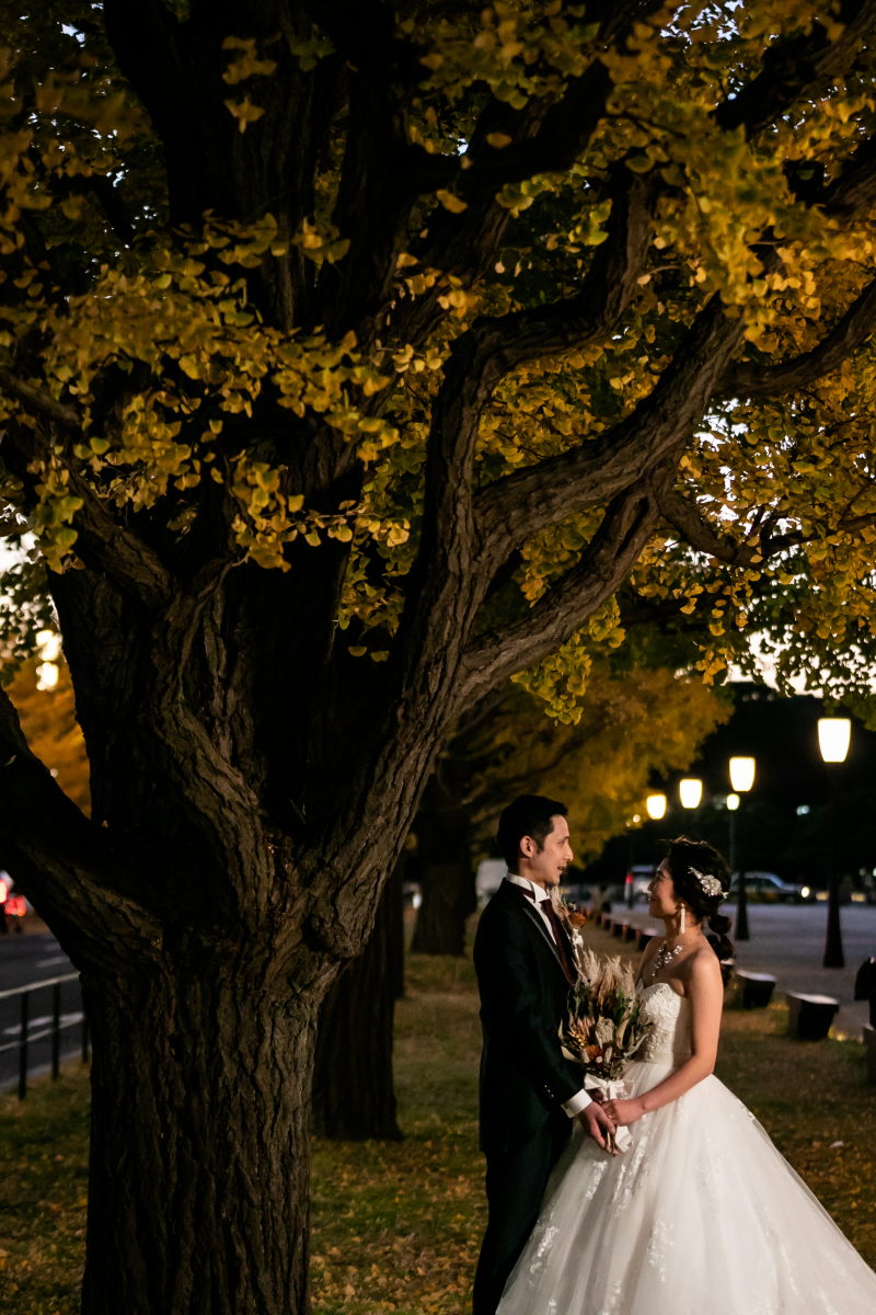 秋のナイトフォト