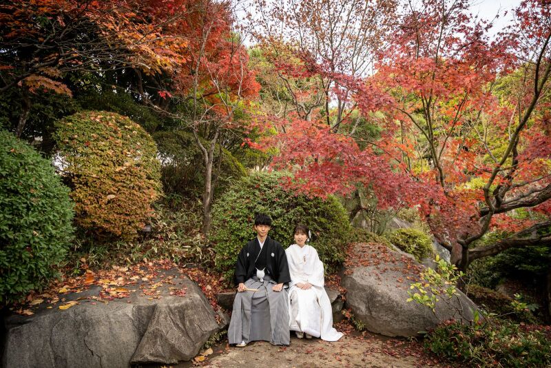 季節を感じさせる背景で♪