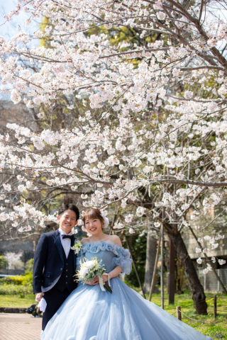 桜×カラードレス×芝公園＆丸の内
