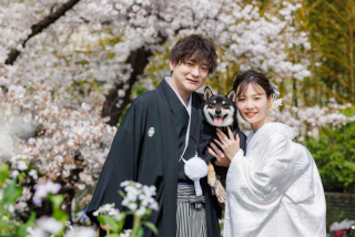 桜✿洋装×多摩川