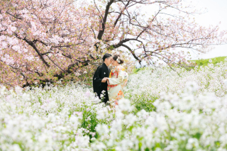 ☆桜ロケーションフォト☆