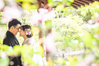 桜ロケーション