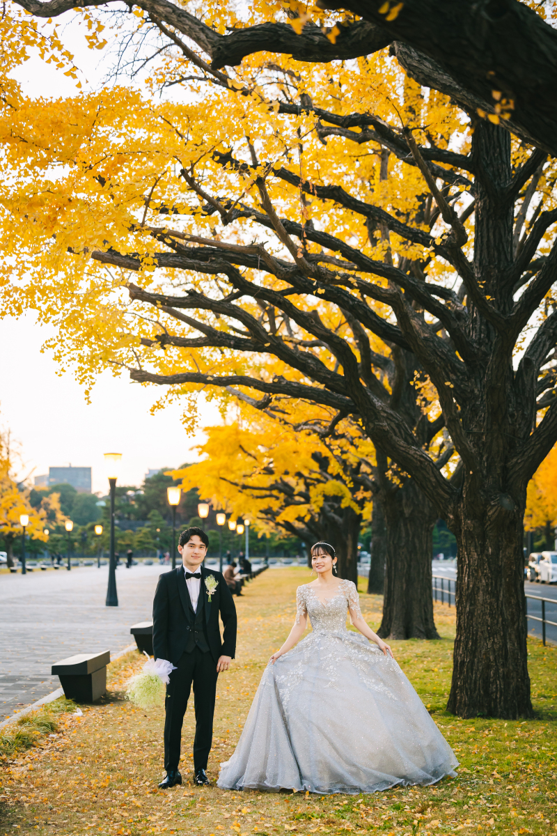 美しいイチョウ並木と。