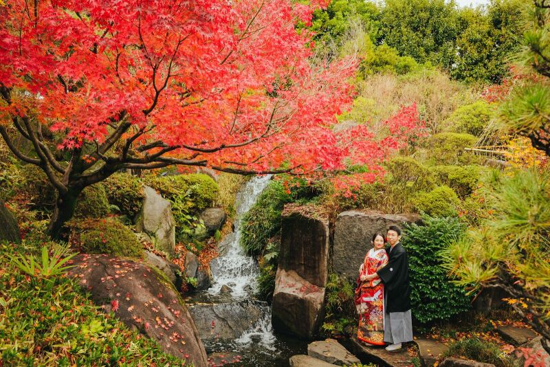 目白庭園の滝と一緒に