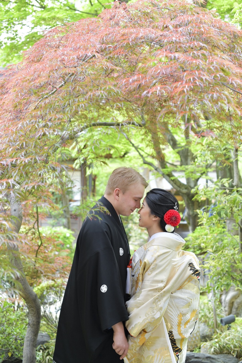 枝垂れモミジとともに