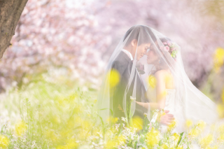 桜×洋装×多摩川