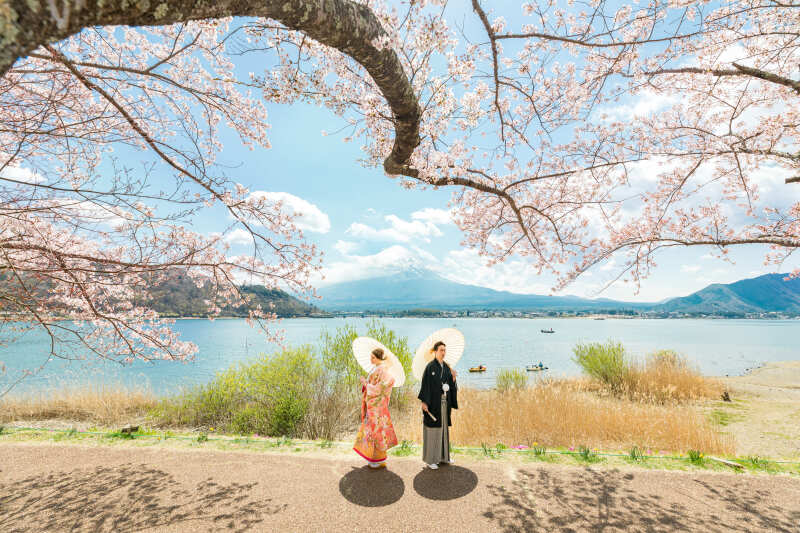 桜・和洋装ロケーション