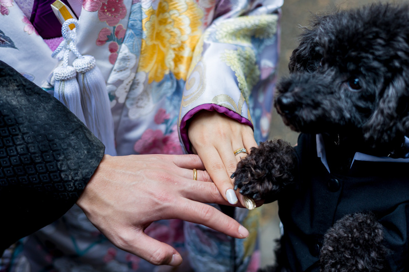 経験豊富なカメラマンにお任せ!