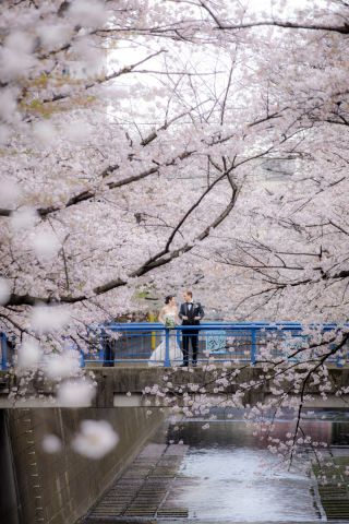 クチュールナオコ銀座本店_桜フォト