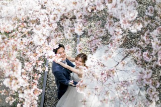 クチュールナオコ銀座本店_桜フォト