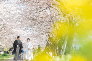 クチュールナオコ銀座本店_桜フォト