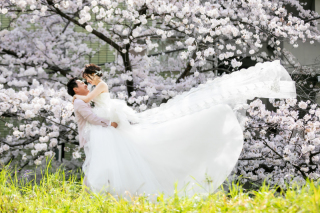 クチュールナオコ銀座本店_桜フォト