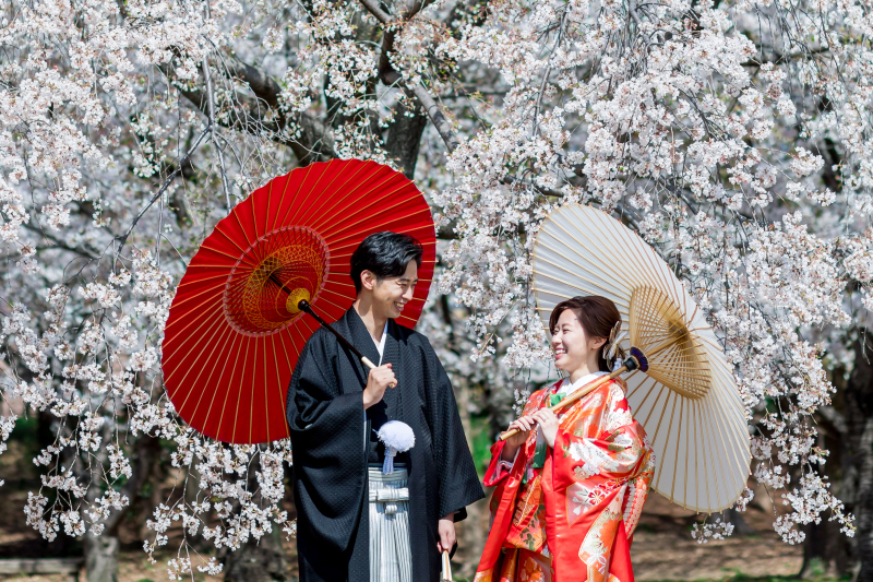 桜キャンペーン｜ロケーションフォト&yen;118,800&rarr;￥96,800（税込）＊和装基本プラン＊データ100cut付